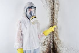 Best Mold Removal for HVAC Installations in Preston Heights, IL